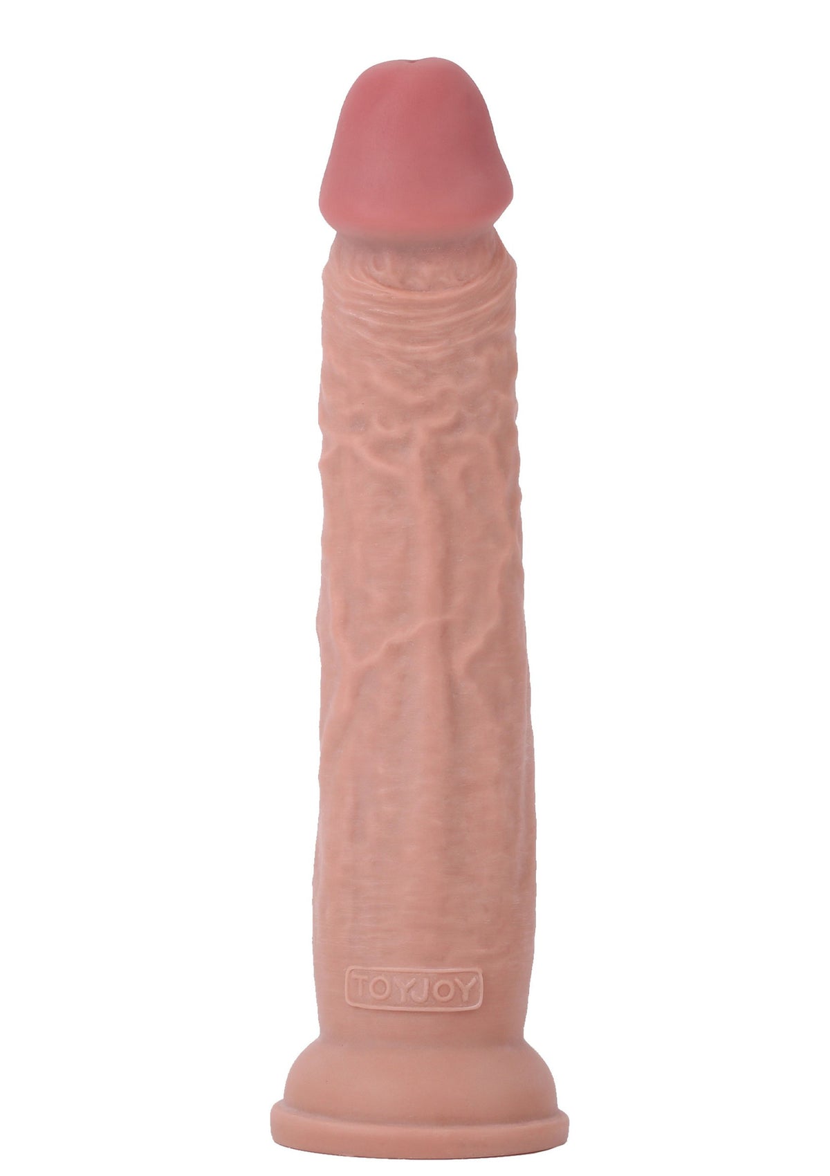Fallo realistico con ventosa Deluxe Dual Density Dong 14 In